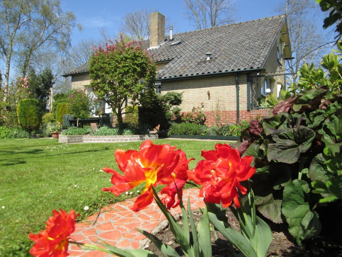 B&B Elbahof, Goed En Goedkoop! Hem Exteriér fotografie