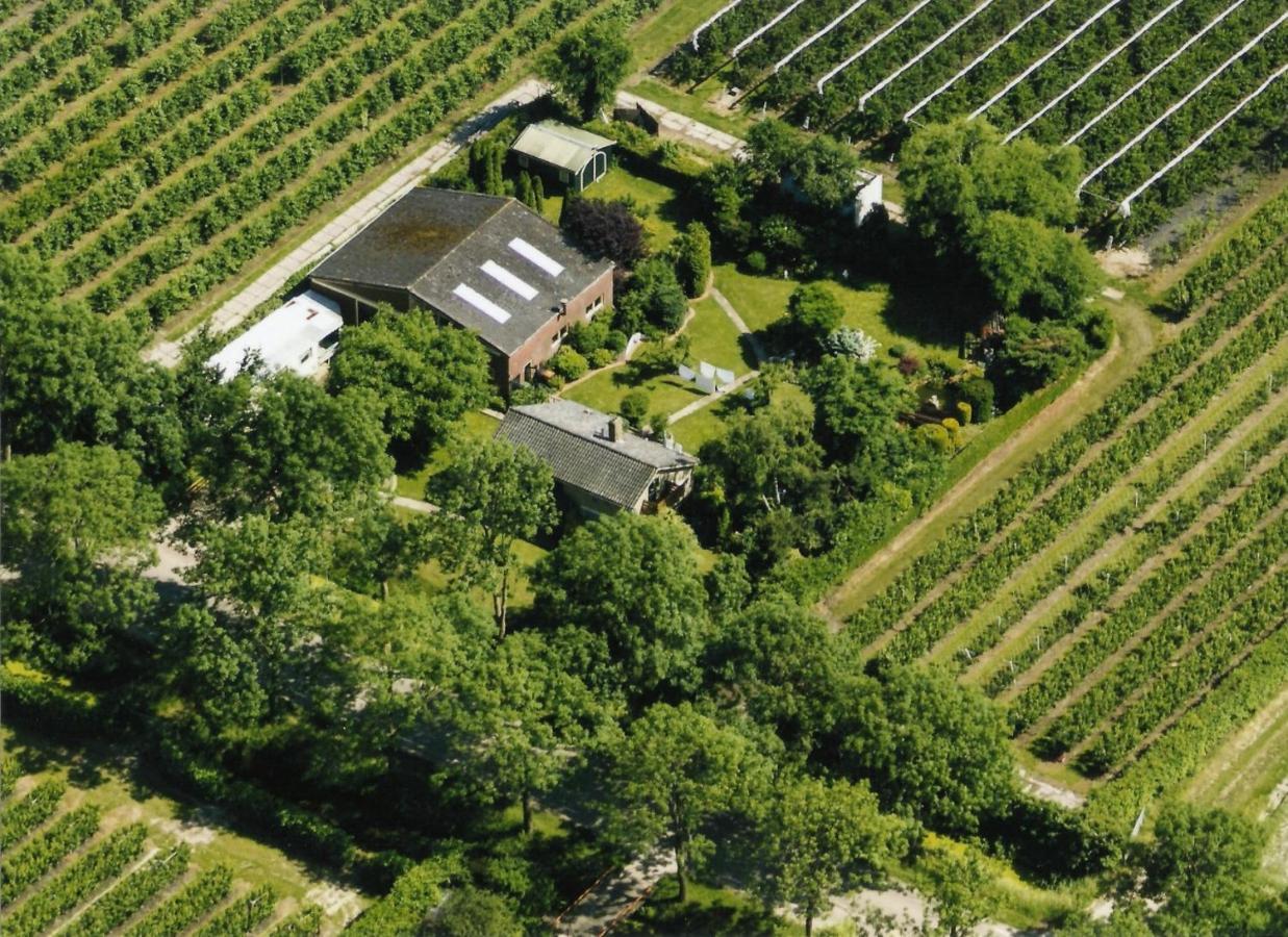 B&B Elbahof, Goed En Goedkoop! Hem Exteriér fotografie