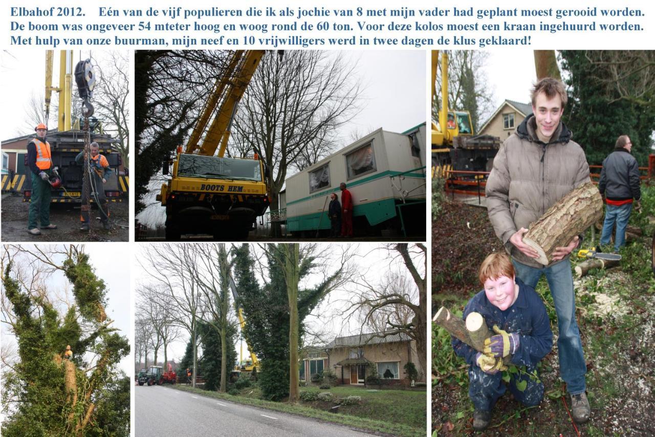 B&B Elbahof, Goed En Goedkoop! Hem Exteriér fotografie